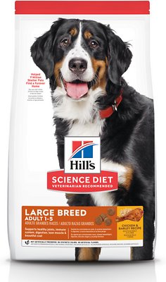 Chewy Dog Food